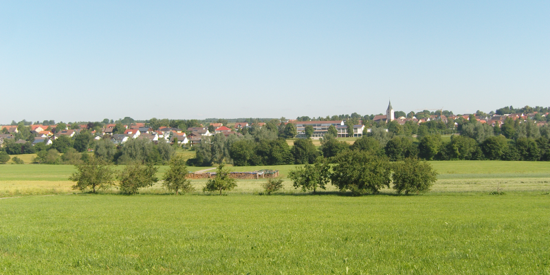  Im Vordergrund sind Bäume und ein Feld zu sehen, im Hintergrund Häuser der Stadt Empfingen 